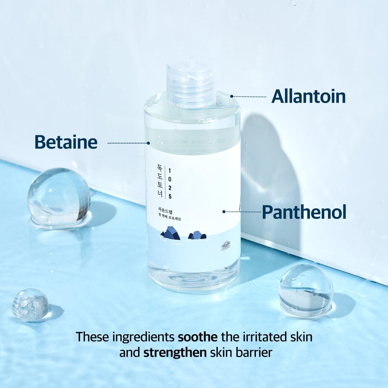 ROUND LAB 1025 Dokdo Toner 500 ml ( GRAND FORMAT )