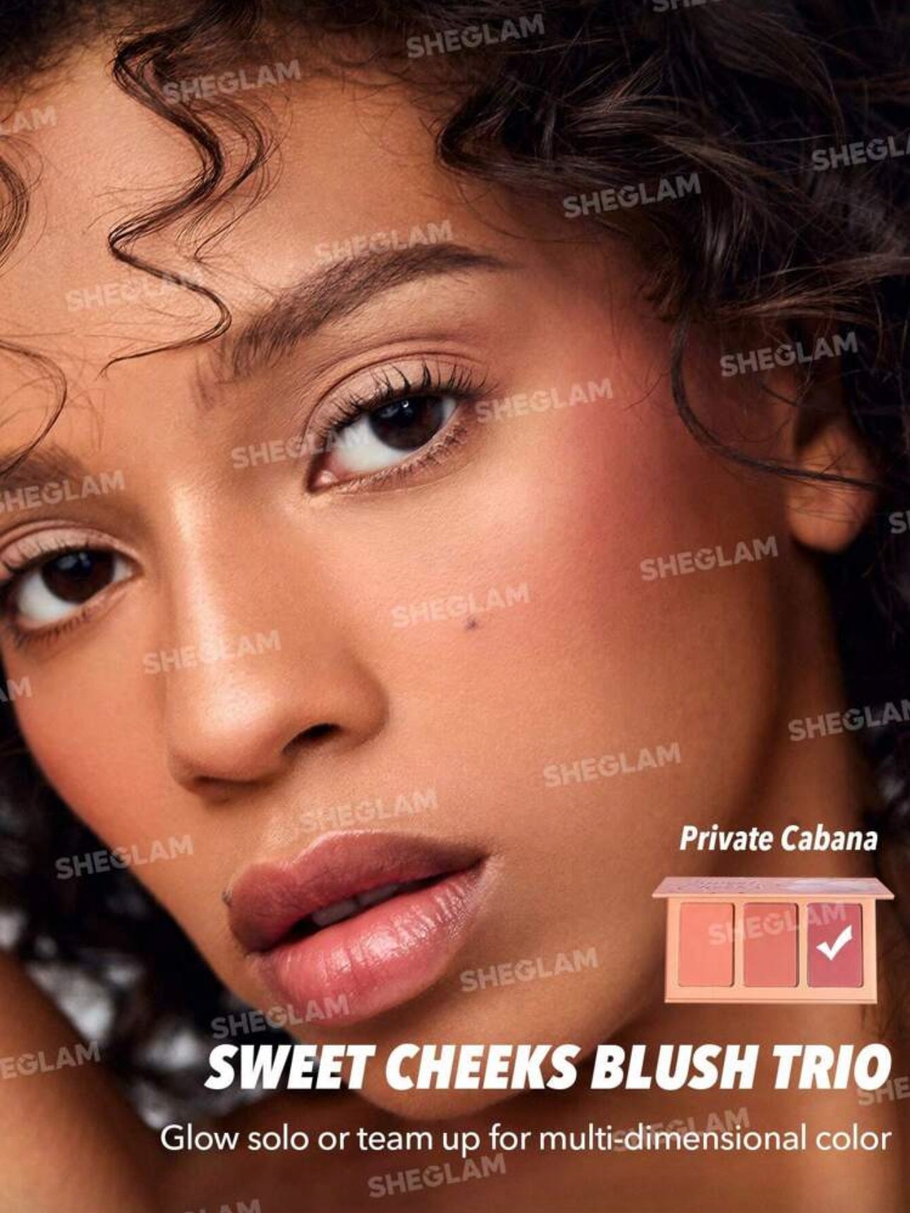 SHEGLAM BLUSH TRIO SWEET CHEEKS PRIVATE CABANA
