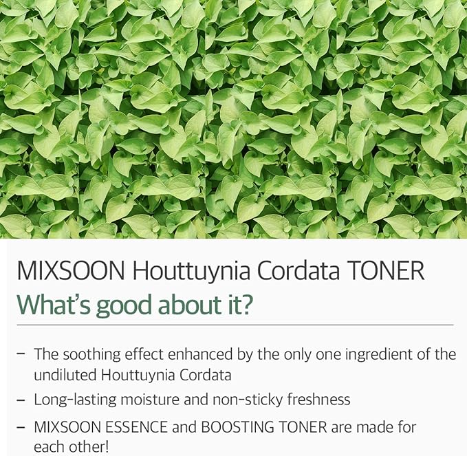 MIXSOON HEARTLEAF TONER -04- 150ML