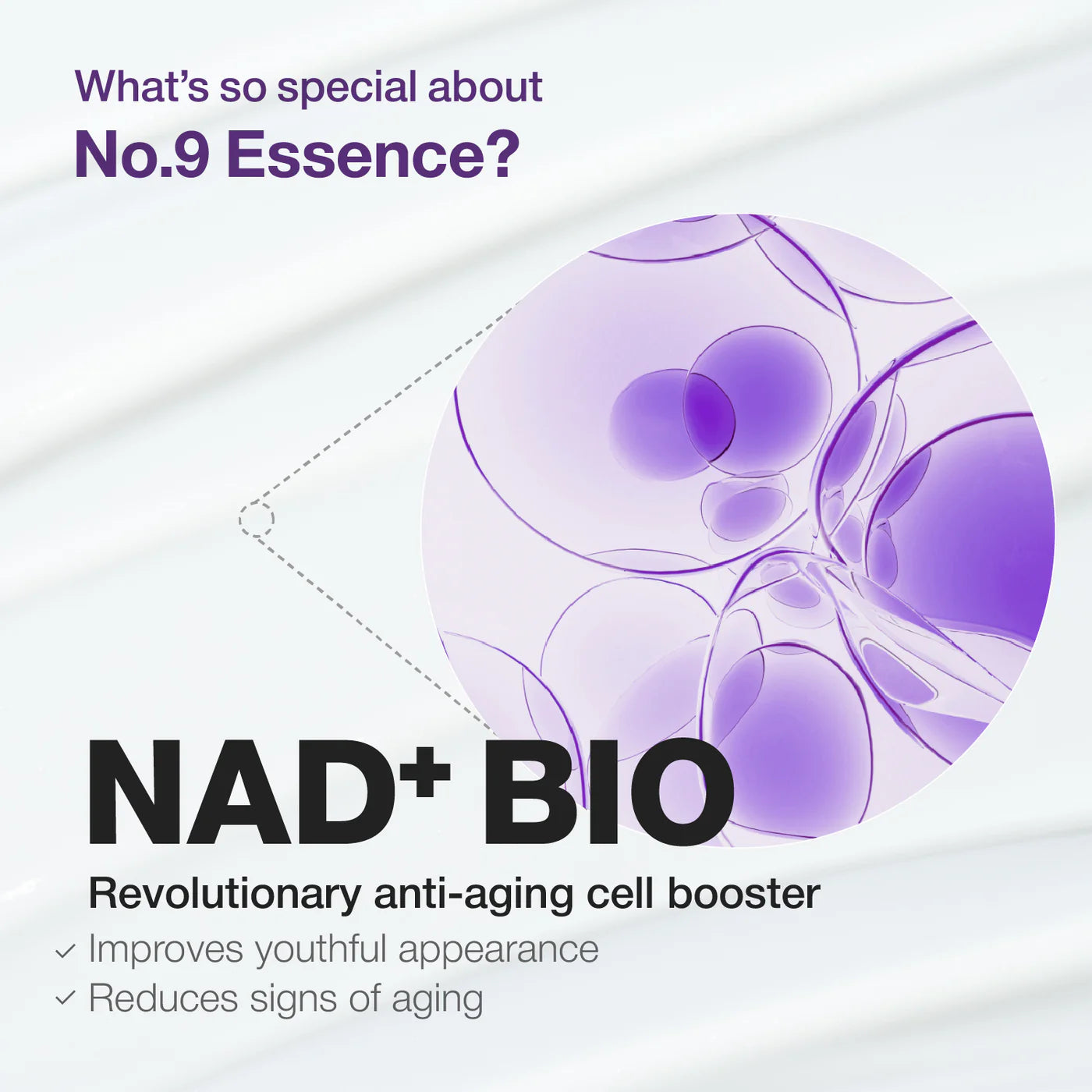 NUMBUZIN 9+ NAD+ BIO LIFTING - SIL ESSENCE ( 50 TYPES OF PEPTIDES ) 50 ML