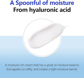 ISNTREE HYALURONIC ACID MOIST CREAM 100ML