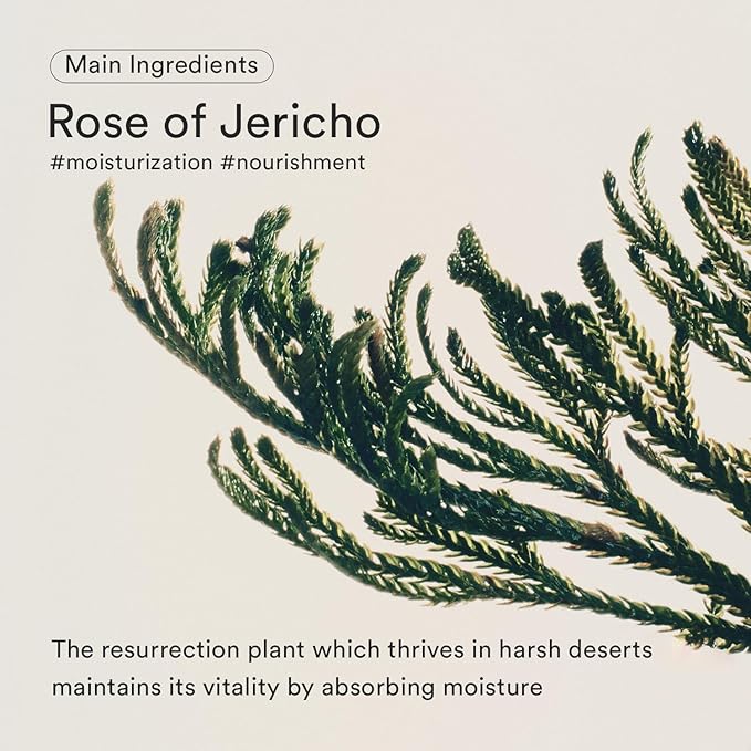 ABIB JERICHO ROSE BIFIDA SERUM 50ML
