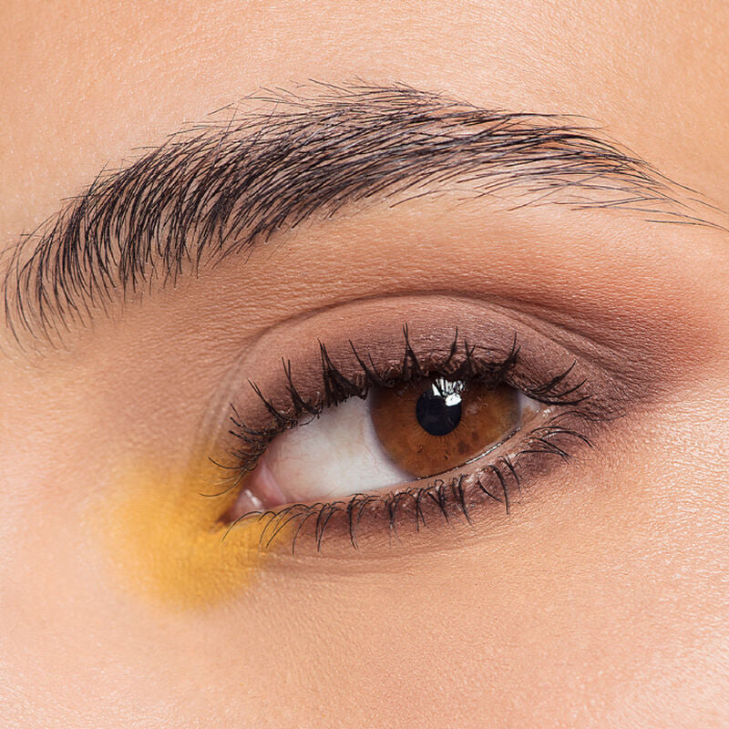 PALETTE MAKEUP FOREVER ARTIST COLOR PRO GINGER