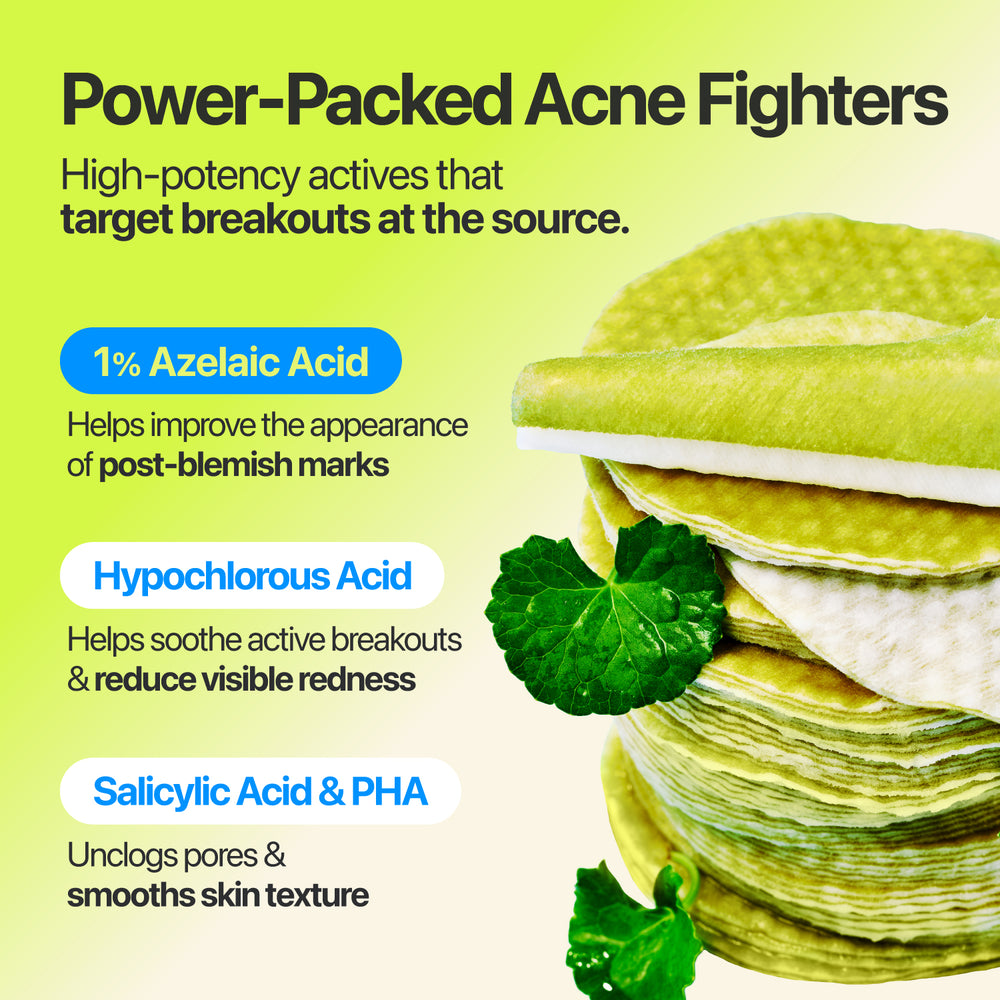 NUMBUZIN ZERO BLEMISH AZELA CICA BALANCING DUAL PADS (60 PADS ) 210 ML