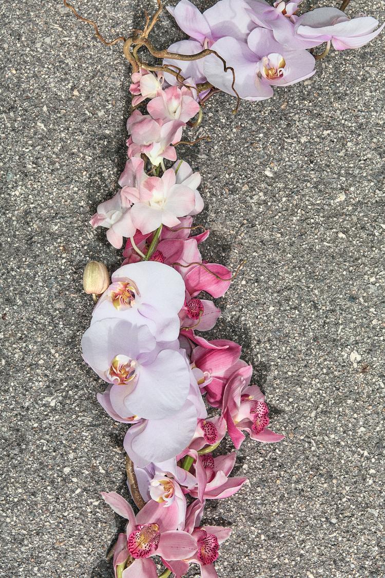 ZARA ORCHID & WONDER ROSE 90×2 ML