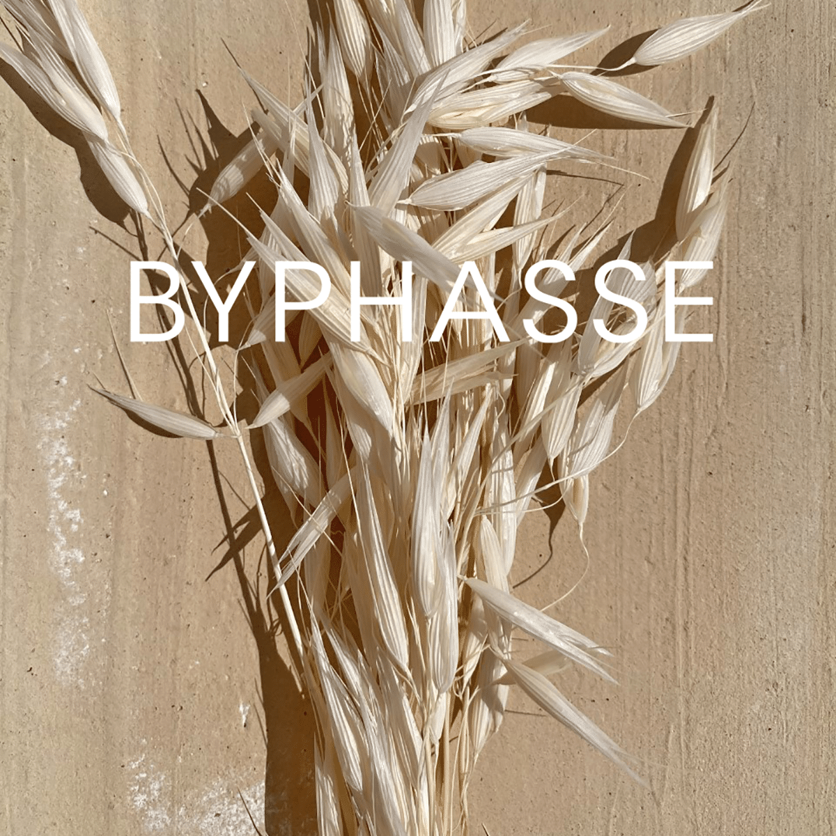 BYPHASSE LAIT ÉCLAIRCISSANT EXTRAIT D'AVOINE 500ML