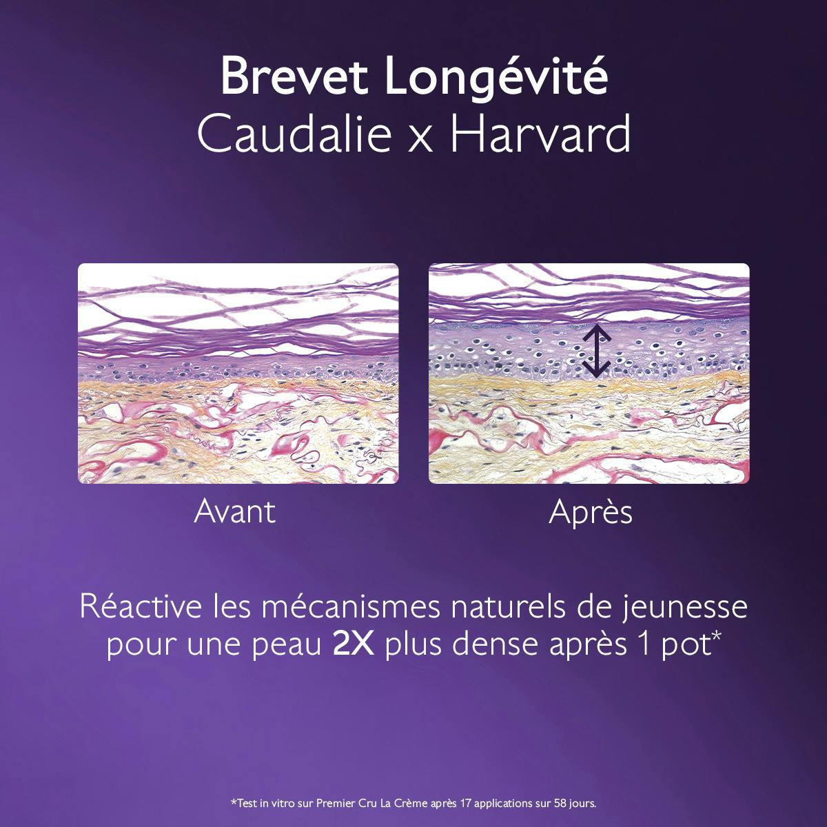 CAUDALIE PREMIER CRU LE SÉRUM ANTI-ÂGE GLOBAL 30ML