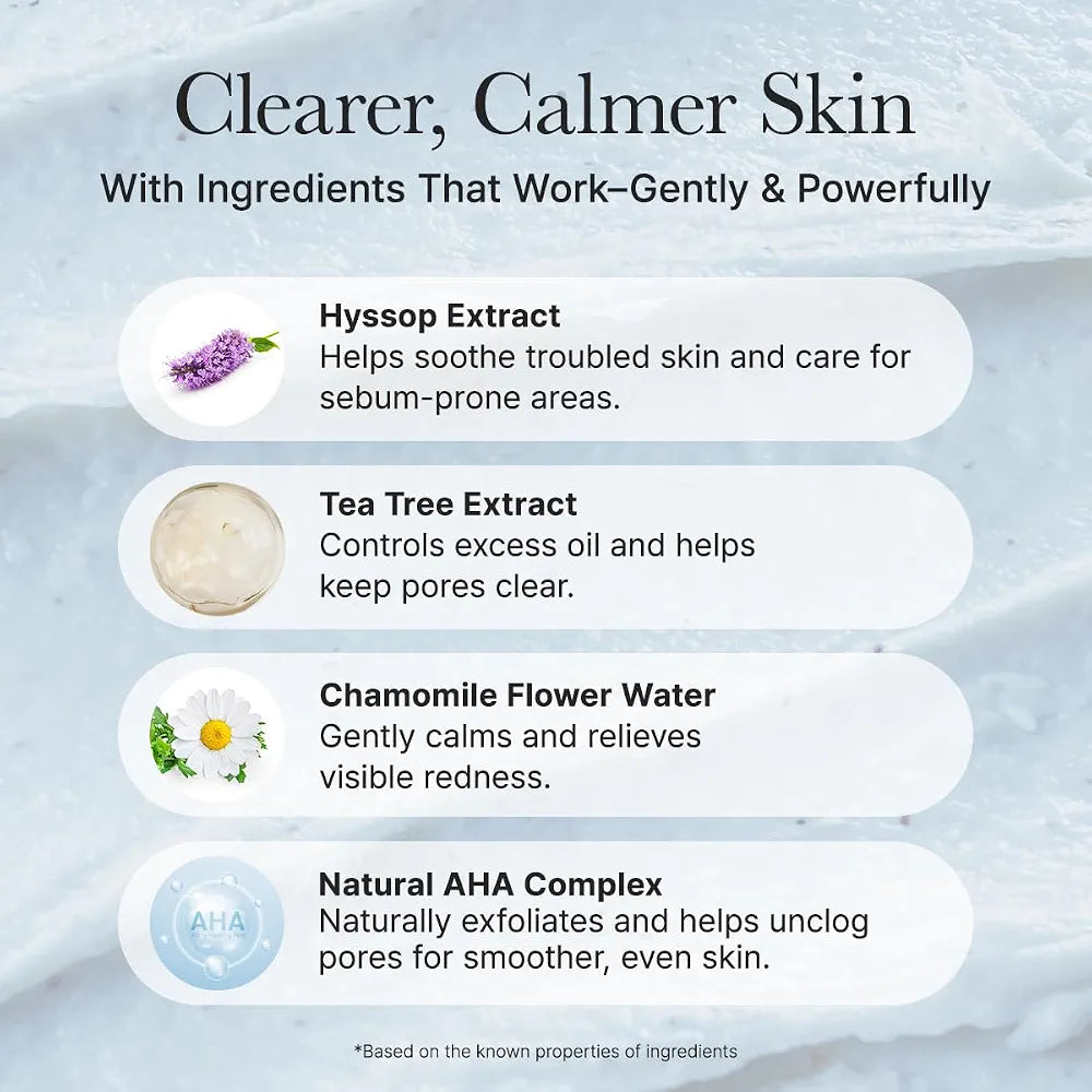 ARENCIA HYSSOP SEBUM CONTROL RICE CAKE CLEANSER 150G