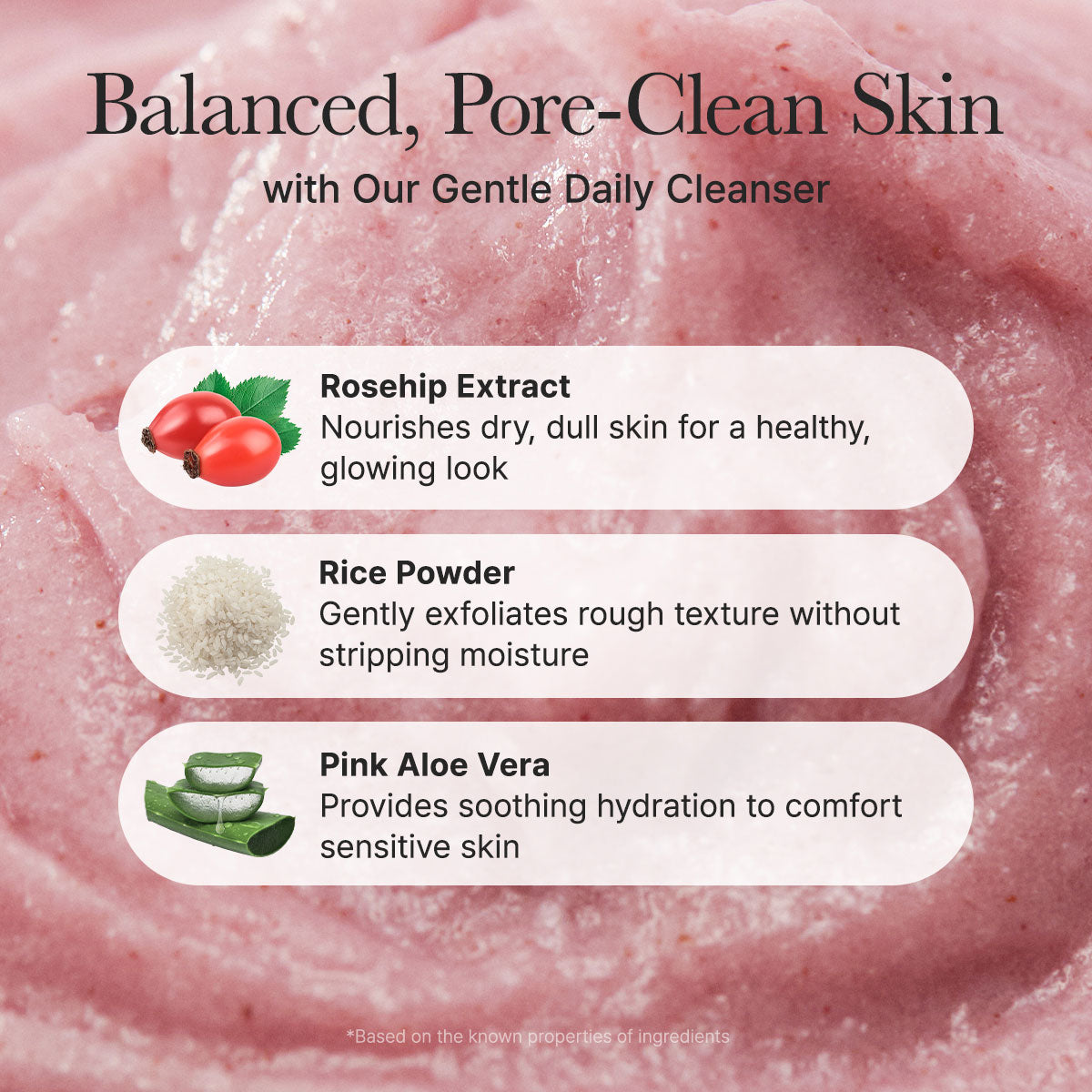 ARENCIA FRESH ROSEHIP RICE MOCHI CLEANSER (NEW) 120G