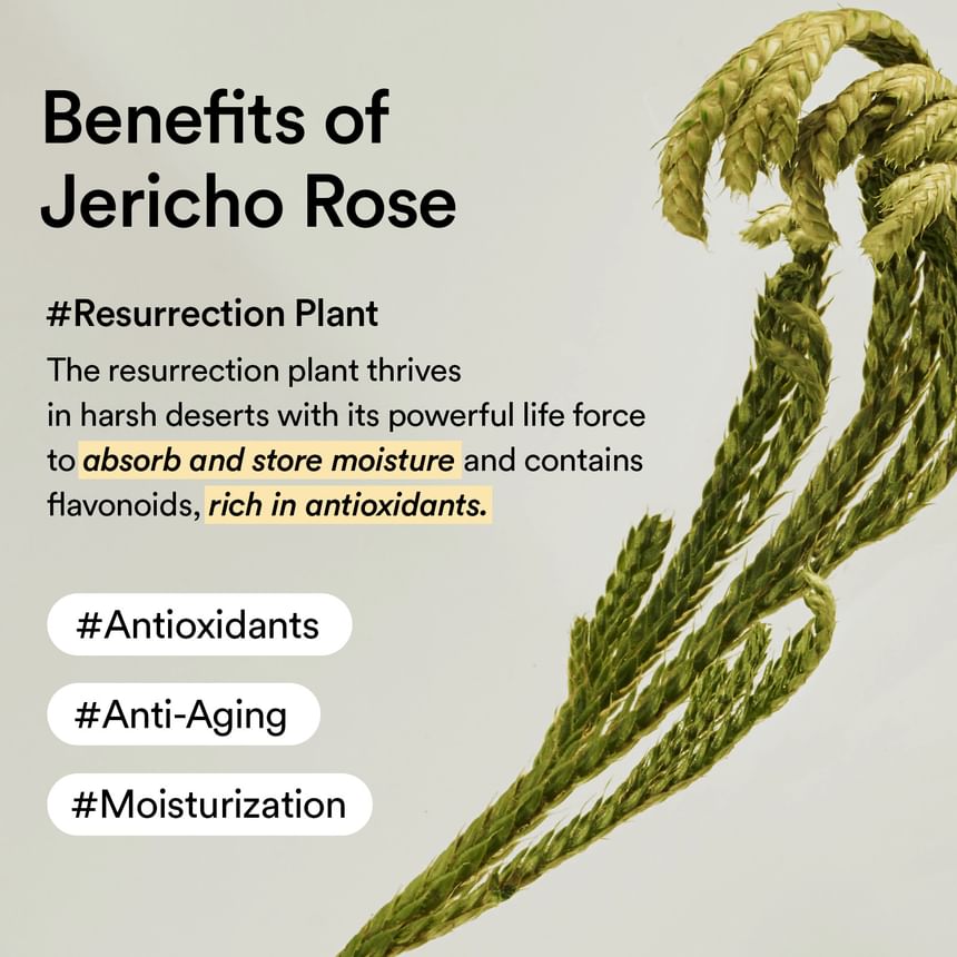 ABIB COLLAGEN EYE CREAM JERICHO ROSE TUBE 30ML