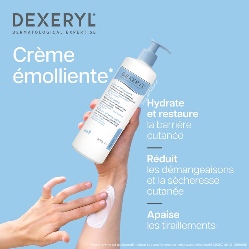 DEXERYL CRÈME TRAITEMENT DES SÈCHERESSES CUTANÉES  500G