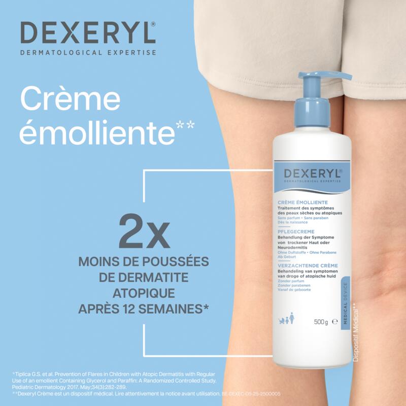 DEXERYL CRÈME TRAITEMENT DES SÈCHERESSES CUTANÉES  500G